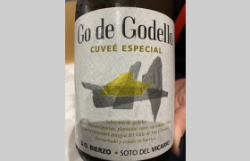 Go de Godello Cuvée Especial