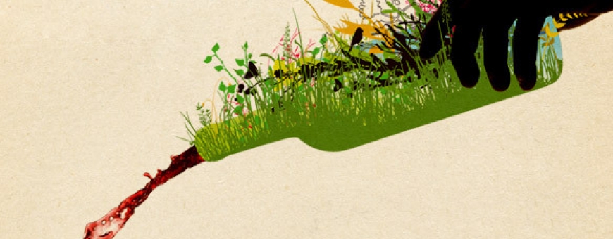 Vinhos orgânicos, biodinâmicos, naturais e sustentáveis Vinhos orgânicos, biodinâmicos, naturais e sustentáveis