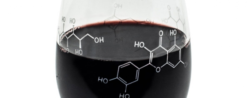 Cientistas descobrem no vinho uma substância capaz de frear o envelhecimento do cérebro