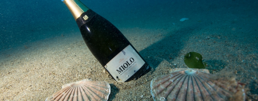 Miolo é a primeira vinícola brasileira a realizar imersão de garrafas em cave submarina