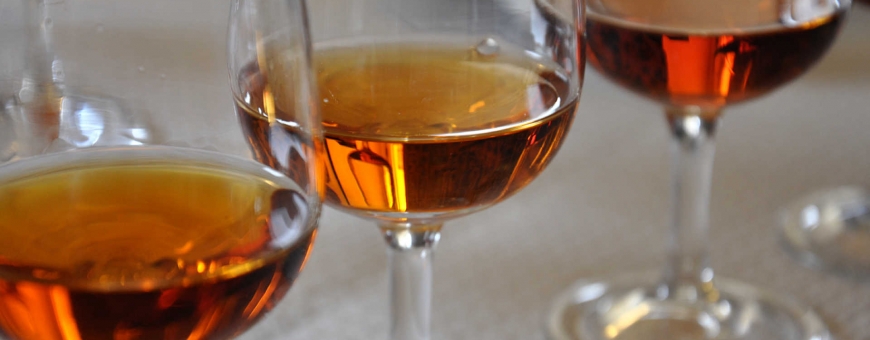 Navegando pelos vinhos de Setúbal Navegando pelos vinhos de Setúbal