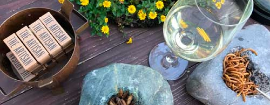 Que tal harmonizar vinho com insetos? Que tal harmonizar vinho com insetos?