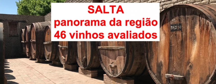 SALTA, no topo do mundo do vinho argentino
