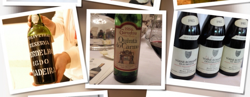 Os 50 Melhores Vinhos da Vida (até agora) Os 50 Melhores Vinhos da Vida (até agora)
