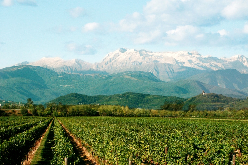 Friuli, paraíso italiano dos brancos