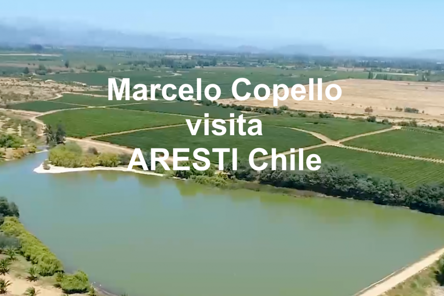 Marcelo Copello visita a vinícola ARESTI no Chile