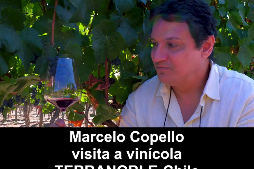 Marcelo Copello visita a vinícola TERRANOBLE, no Chile Marcelo Copello visita a vinícola TERRANOBLE, no Chile