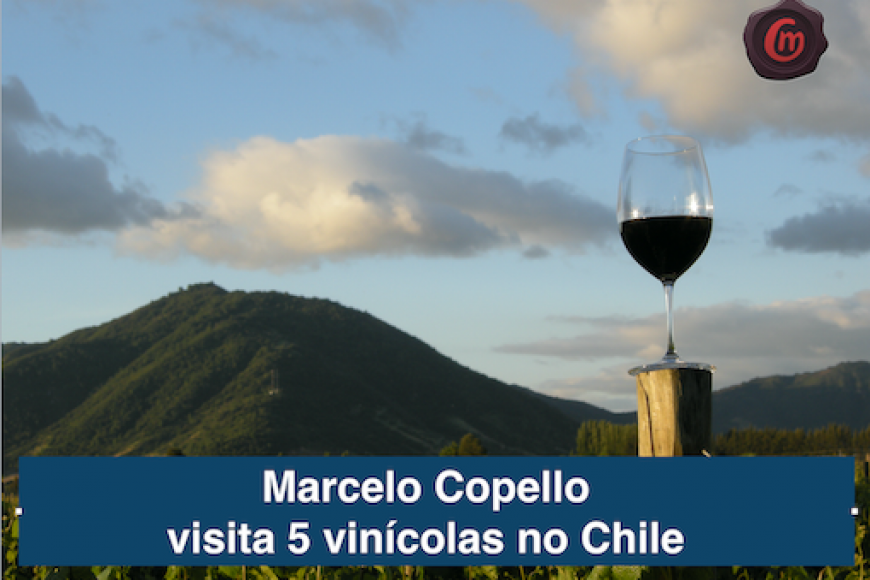 Marcelo Copello visita 5 vinícolas no CHILE Marcelo Copello visita 5 vinícolas no CHILE