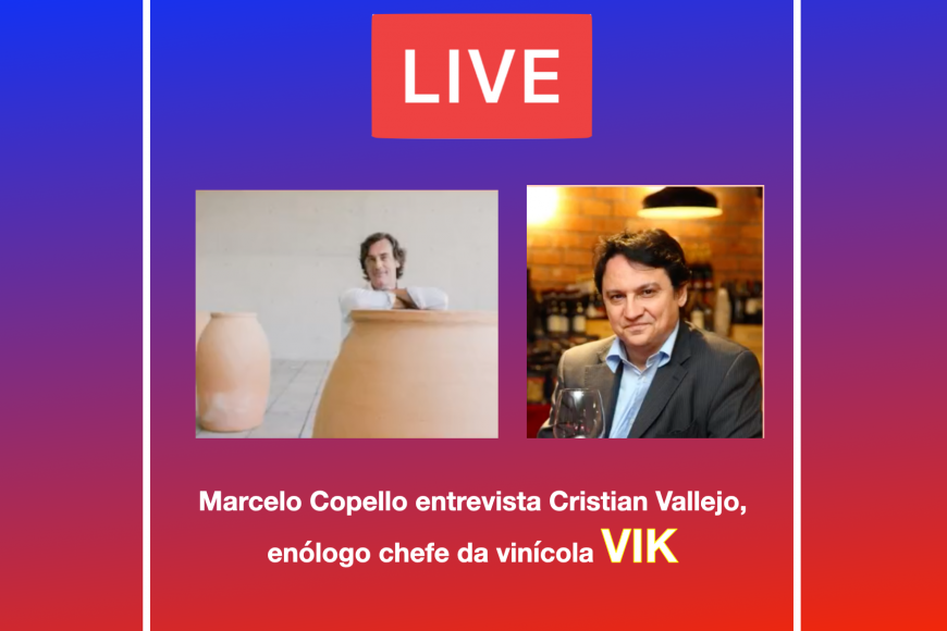 Marcelo Copello entrevista Cristián Vallejo, da Viña VIK Marcelo Copello entrevista Cristián Vallejo, da Viña VIK