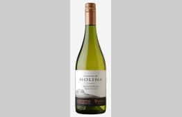 Castillo De Molina Sauvignon Blanc Reserva