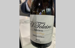 El Toleiro Vino de Paraje