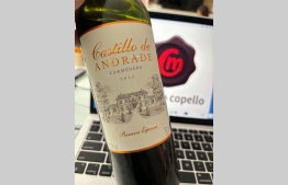 Castillo de Andrade Carménère Reserva Especial