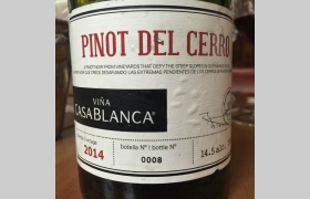 Pinot Del Cerro