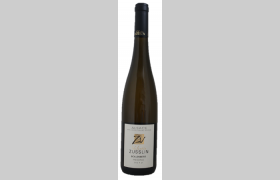 Riesling Bollenberg