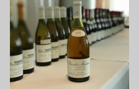 Chevalier-Montrachet Grand Cru