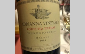 Adriana Vineyard Fortuna Terrae Malbec