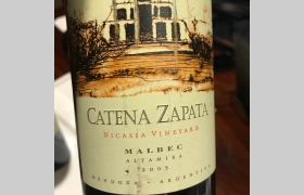 Catena Zapata Nicasia Vineyard