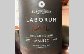 Laborum Torrontés Parcela