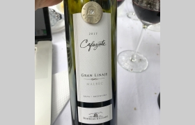 Cafayate Malbec Gran Linaje