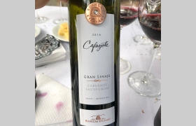 Cabernet Sauvignon Gran Linaje