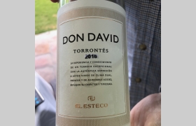 Don David Torrontés