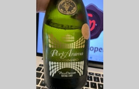 Perl Anima Blanc de Blancs Millesimato Extra Dry