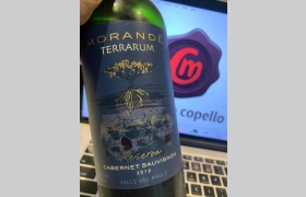 Morandé Terrarum Reserva Carmenère 