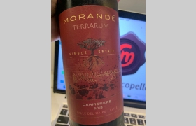 Morandé Terrarum Single Estate Carmenère 