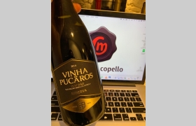 Vinha de Pucaros Reserva