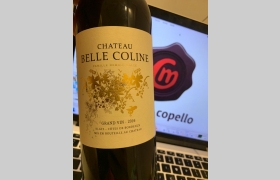 Chateau Belle Coline