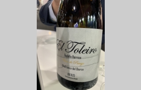 El Toleiro Vino de Paraje