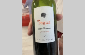 Fagus Coto de Hayas Garnacha