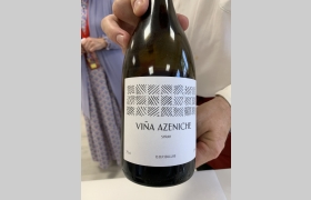 Viña Azeniche Syrah