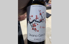 Silvano García Monastrell 4 meses