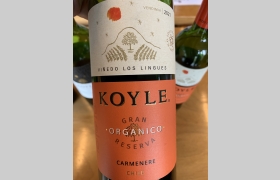 Koyle Gran Reserva Organico Carnemere