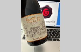 Castillo de Andrade Pinot Noir Reserva Especial