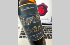 Castillo de Andrade Cabernet Sauvignon Gran Reserva