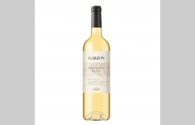 Sauvignon Blanc Garzon