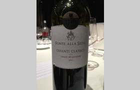 Chianti Classico Gran Selezione Fonte Alla Selva