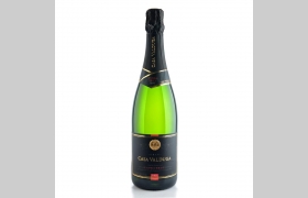 Casa Valduga Gran Reserva Extra Brut 2009