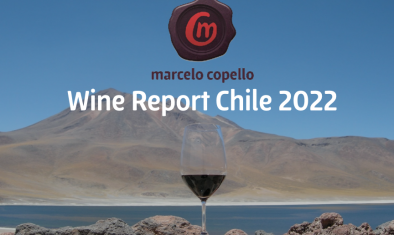 Wine Report Chile 2022