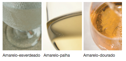 O vinho e suas cores