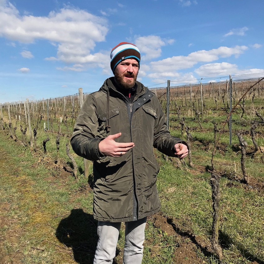 Alemanha – 7 produtores visitados, 80 vinhos avaliados