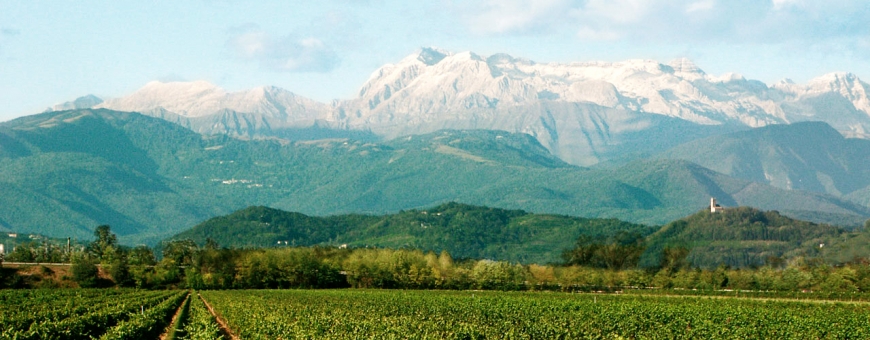 Friuli, paraíso italiano dos brancos