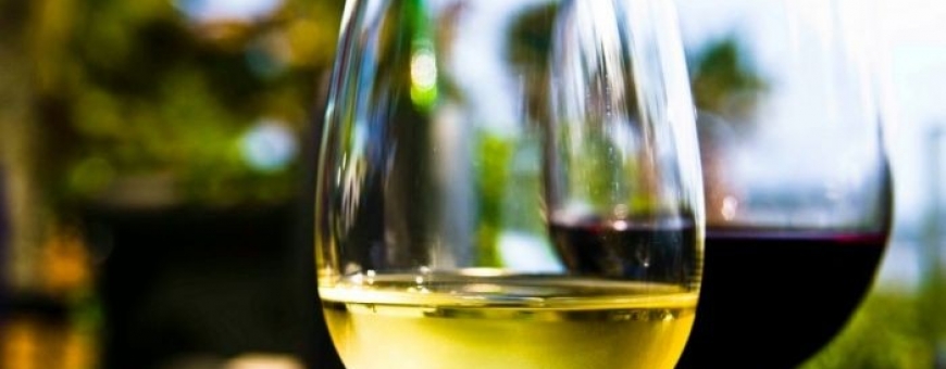 Dez motivos para apreciar vinhos brancos