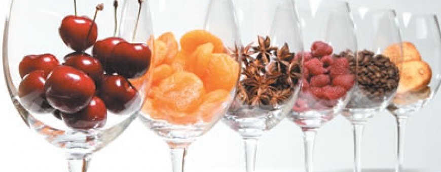 As fragrâncias do vinho