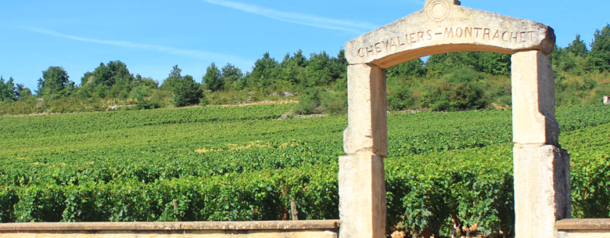 Conheça a Borgonha, o milagre do terroir