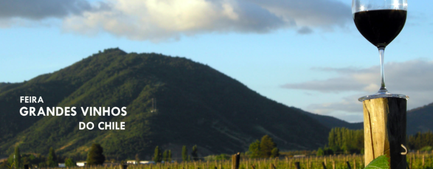 Wines of Chile aposta no RWFF como a grande e inovadora vitrine para seus vinhos