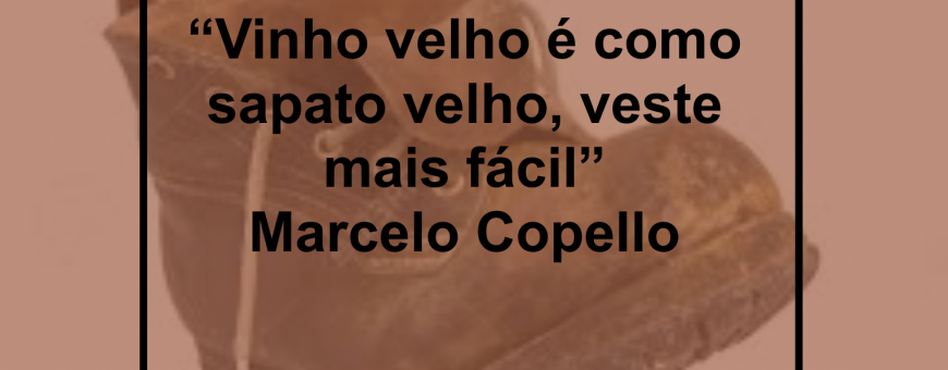 Vinho velho é como sapato velho, veste mais fácil