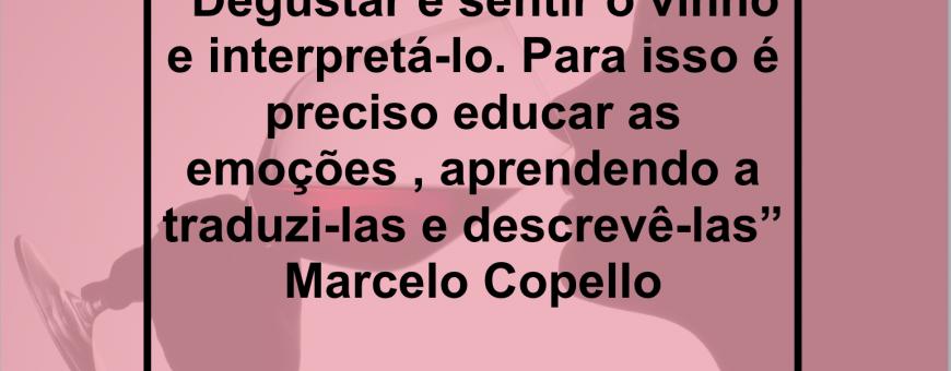 “Degustar é sentir o vinho e interpretá-lo